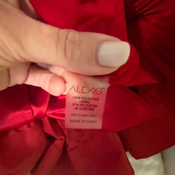 Alexis marilou crinkle mini-dress - Picture 10 of 11